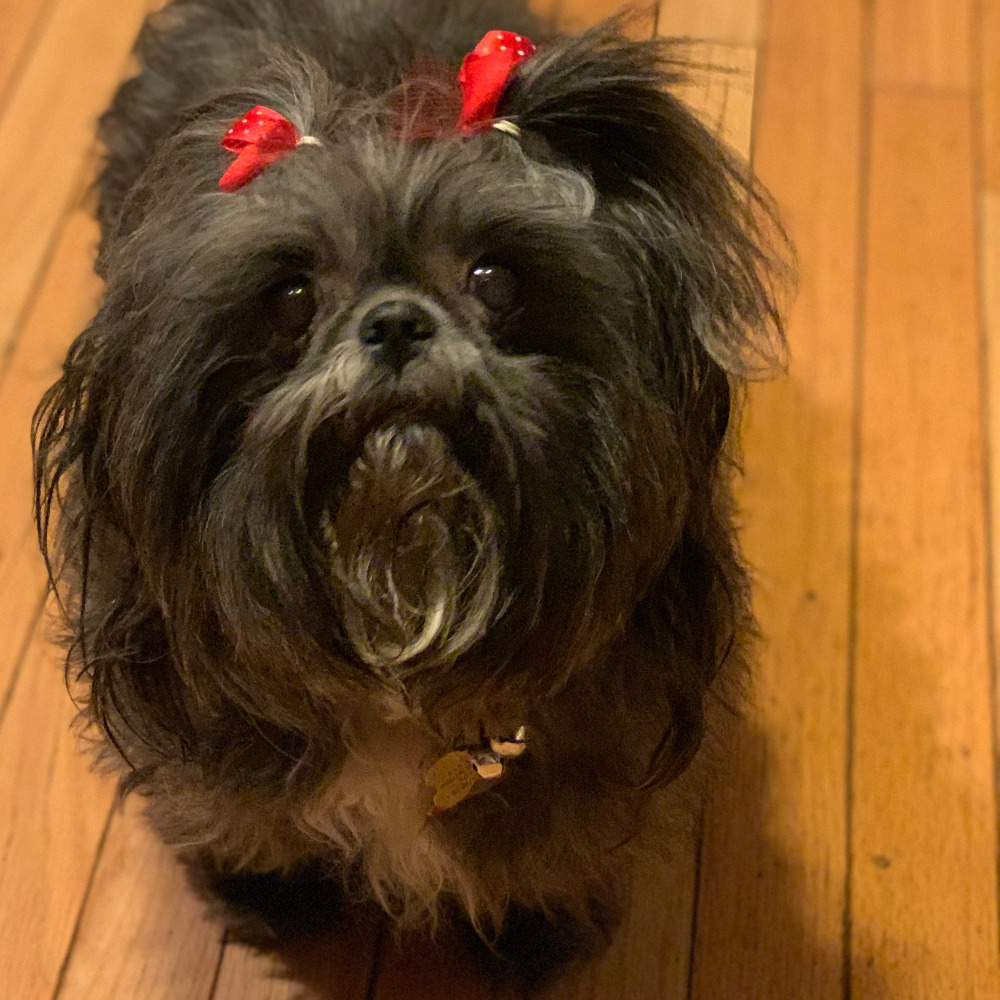 Meet your Posher, Elizabeth